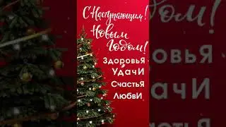 С НАСТУПАЮЩИМ НОВЫМ ГОДОМ!!!! 🎅🎅