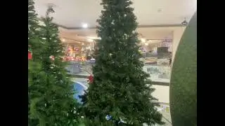 Albero Sestriere - CITSSHOP.it