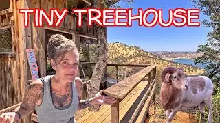 I Stayed In An Off Grid Treehouse With Farm Animals