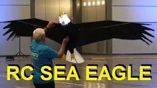 RC ferngesteuerter Seeadler, Flugsaurier & Birdy mit echten Federn 2019 indoor flight