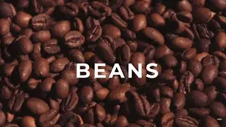 From Bean to Cup – A Coffee Journey || Video editing with Sound effect