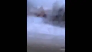 sss 10000   Арс значит