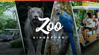 Singapore Zoo | Singapore