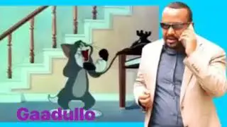 Xiqoo ittin Bashannanaa Be Fissum Alixaxxabim......... See Translation