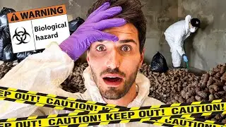 You won't believe what we found...