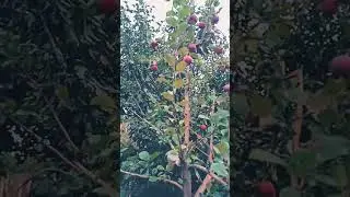 столярка с улицы.