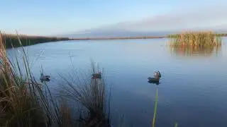 Duck Hunting with Redfish -Winter Action in the Marsh-