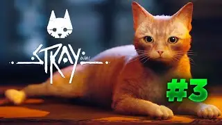 CLEMENTİN OYUNU! STRAY TÜRKÇE BÖLÜM 3