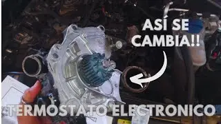CAMBIANDO bomba DE agua AUDI Q5 / TODO lo QUE tienes QUE saber!!