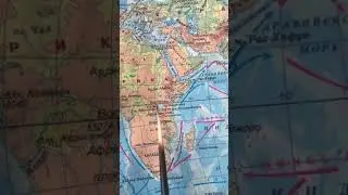24 ноября 2020 г.