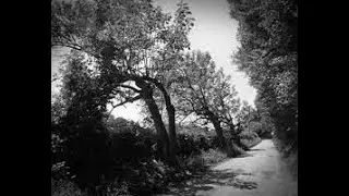 SIXTHELLS - DEVIL'S WAY