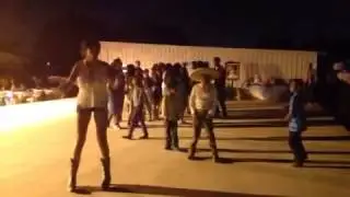 Valeria quince Harlem shake !!!!