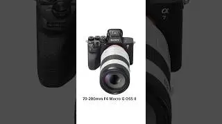 FE 70-200mm F4 Macro G OSS II Lens Spotlight
