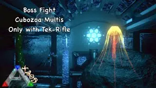Cubozoa Multis (Only with Tek-Rifle) - Dungeon Boss - Ark Mobile