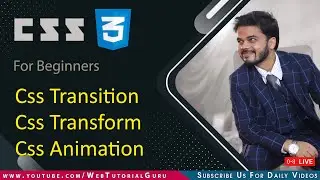 🔴 17. CSS Transition, CSS Transform,  Css translate, CSS scale, CSS rotate, CSS skew #htmlcss #css
