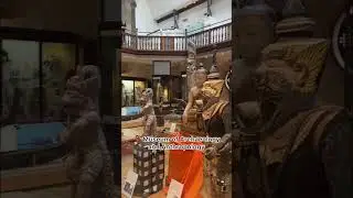 Things to do in Cambridge 🇬🇧 #shorts | Travel Vlog