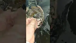 погружение медиатора