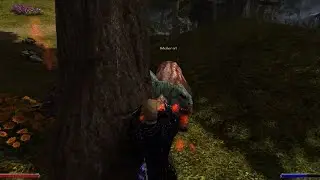 Übergroße Molerats greifen an - Gothic 2