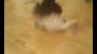 Squidger vs. Fogil (Part 2)