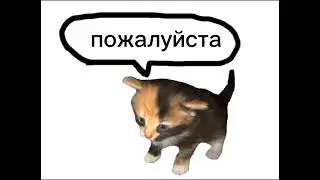 Братик, купи мне пожалуйста...