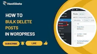 How to Bulk Delete Posts in WordPress | HostiGate