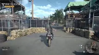 Days Gone