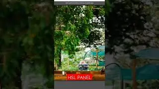 HSL Panel in Adobe Camera Raw|Adobe Photoshop Tutorial for beginners