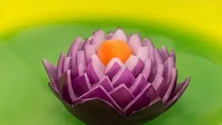 Onion waterlily