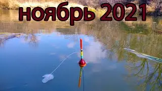Первая рыбалка в ноябре 2021.