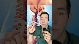 Why you should NEVER use a massage gun on your neck!