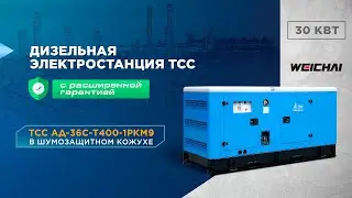 Дизель генератор TSS PROF на двигателе WEICHAI #генератор #стт