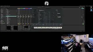 UNKWN Sounds - Jordan Fox Vol.  2 (Analog Lab Presets Bank)