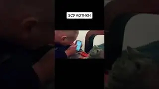 Обучение зсу кота в украинской биолаборотории