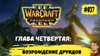 Warcraft 3 reforged конец вечности | 
