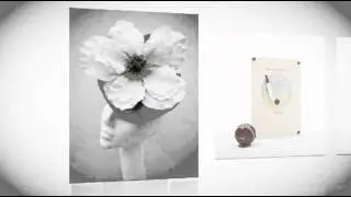 Product & Commercial Photography.mp4