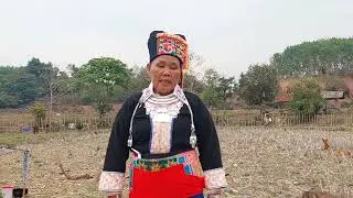 Kwv txhiaj nkauj ntsuag mus yuav tau tu txiv siab phem tsi hlub March  21 . 2025
