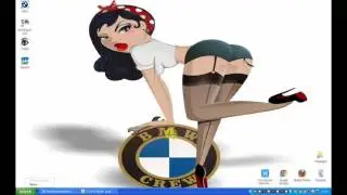 How to install INPA software