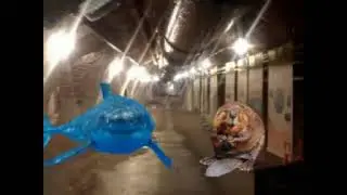 Felix Nordh - Balle Bäver Del 1