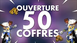 DOFUS - OUVERTURE DE 50 COFFRES IMPRESSIONNANT !