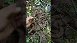 Подковы на счастье, поиск металлолома на старом хуторе. 
