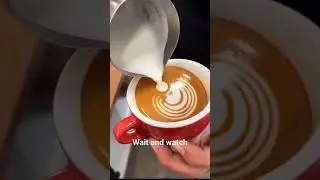 #subscribe @IlBaristaDiTikTok @latteartcity @YouTube