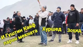 И Гуштин Кайф парон мекната тамошо накун. Гуштини Окчар. Гуштин 2025. Гуштини пешина.