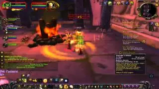 Lvl 39 Blood Elf Paladin Tank - Dire Maul: Warpwood Quarter Dungeon