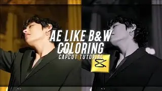 AE LIKE B&W COLOURING TUTORIAL ON CAPCUT