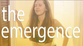 The Emergence from Self Quarantine