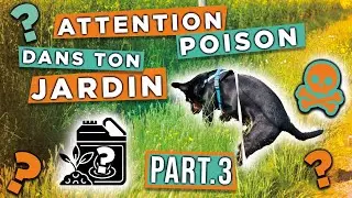 Part 3 - POISON du CHIEN dans le JARDIN