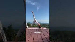 Кусочек занятия из йога клуба YogaRadosti