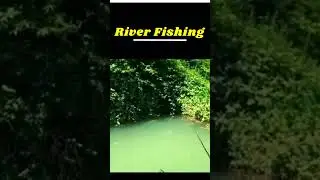 River fishing videos #viral #fishing #ytshorts