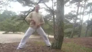 Staan als een boom, mindfulness en Qigong