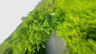 MY FLOW | FPV FREESTYLE IN MALDIVES